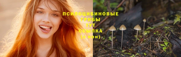 кокаин премиум Богородицк