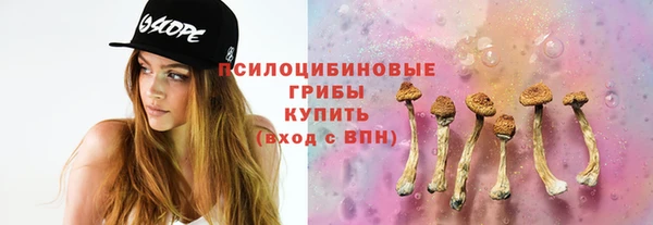 кокаин премиум Богородицк