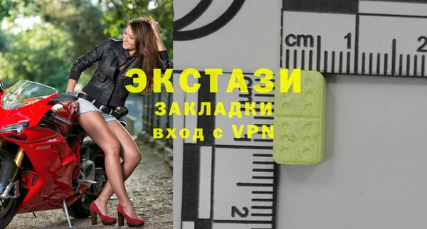 ECSTASY Богородск