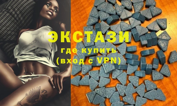 ECSTASY Богородск