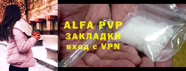 PSILOCYBIN Богданович