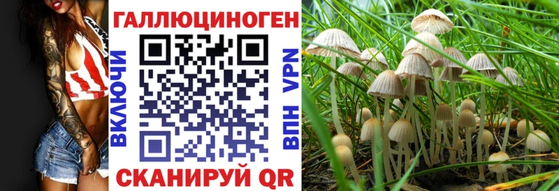 Галлюциногенные грибы мухоморы  как найти   Моршанск 